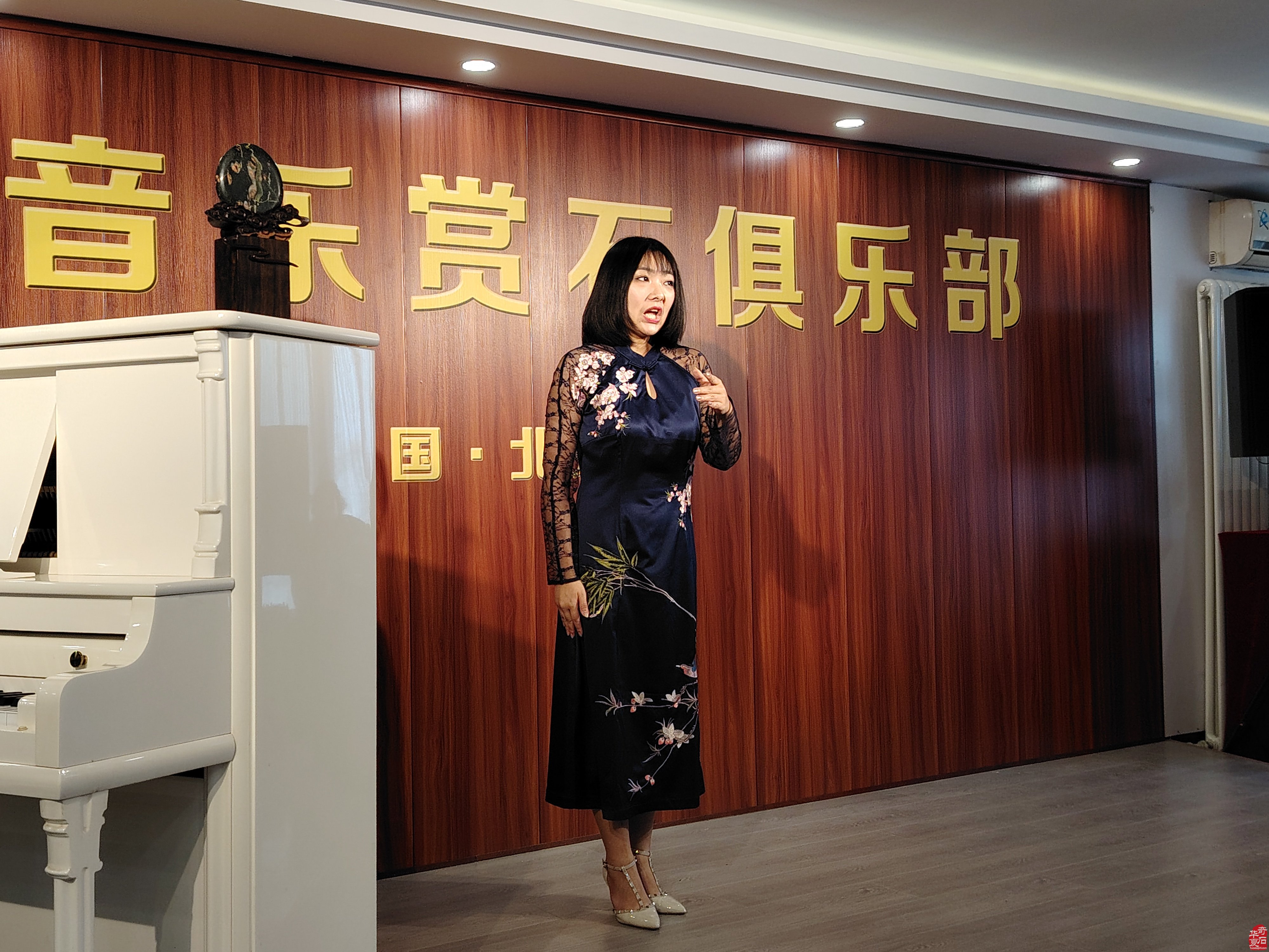 中国汉江石界联盟精品奇石亮相京城