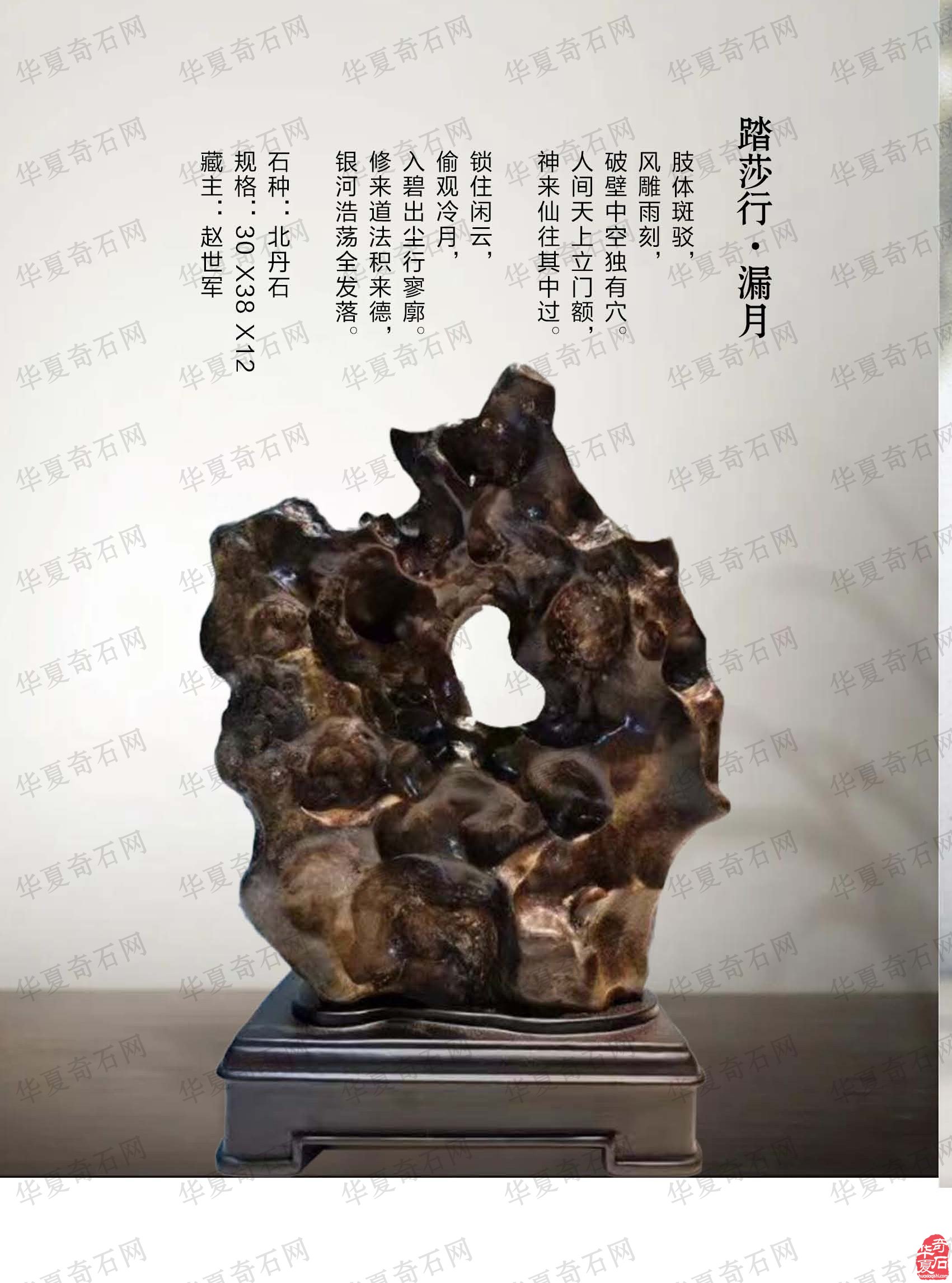 《于公赏石》推介重庆万石博览会值得期待