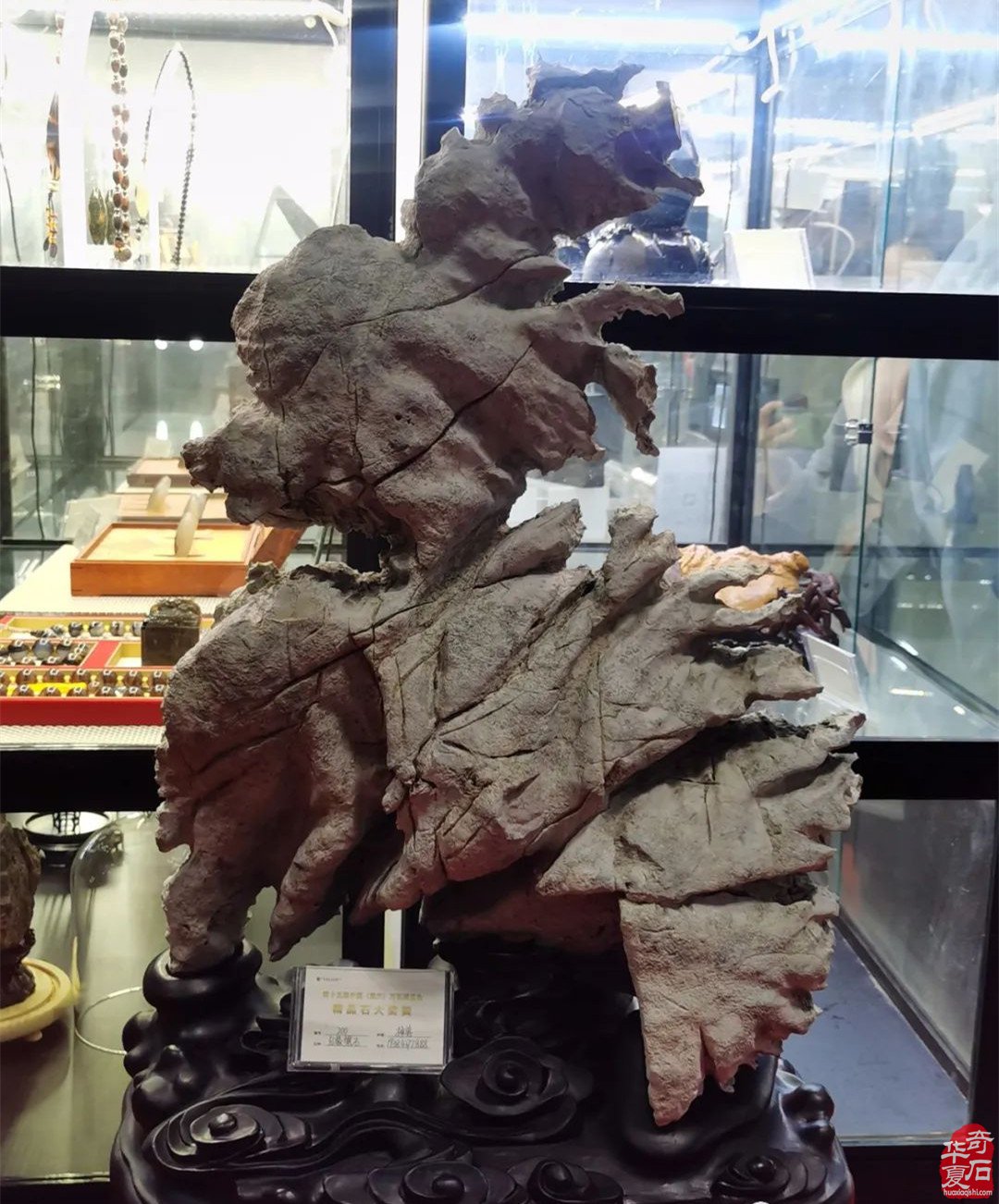 第十五届中国（重庆）万石博览会在南坪国际会展中心开幕