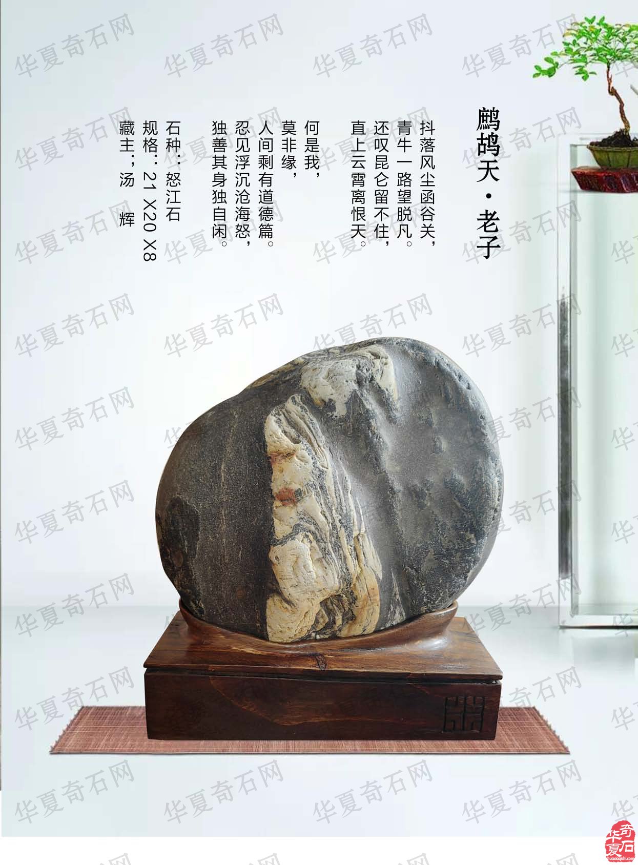 新的一期《于公赏石》电子版杂志上线了