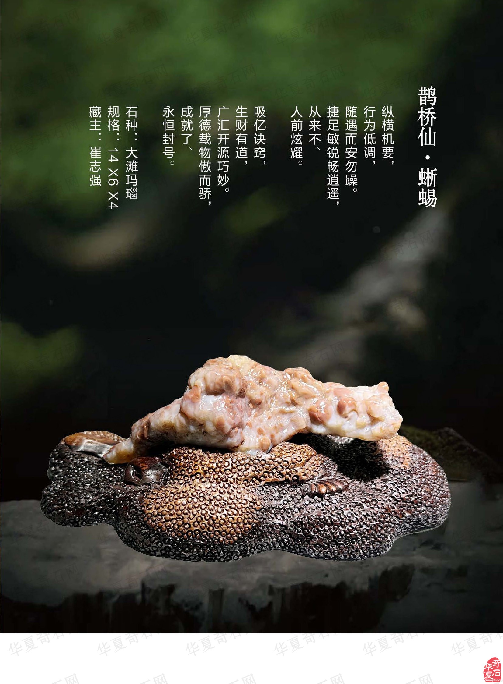 新的一期《于公赏石》电子版杂志上线了