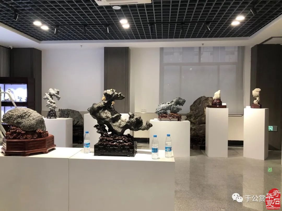 “汉风起兮”——首届徐州盆景、奇石艺术展隆重开幕！