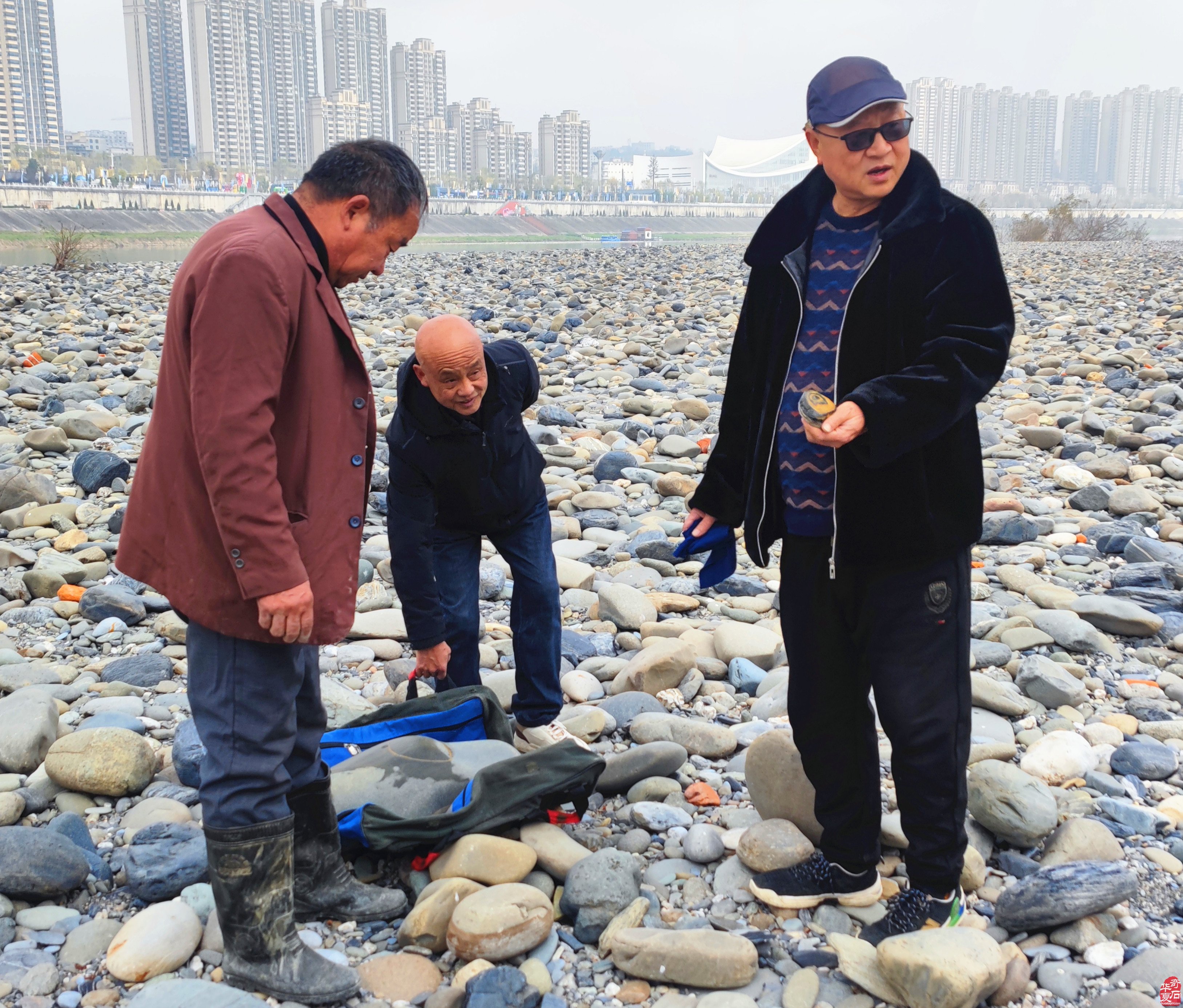 【赏石纪实报道】 石上有石寻石巧遇记