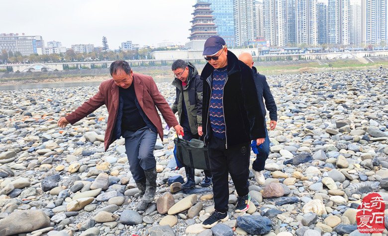 【赏石纪实报道】 石上有石寻石巧遇记