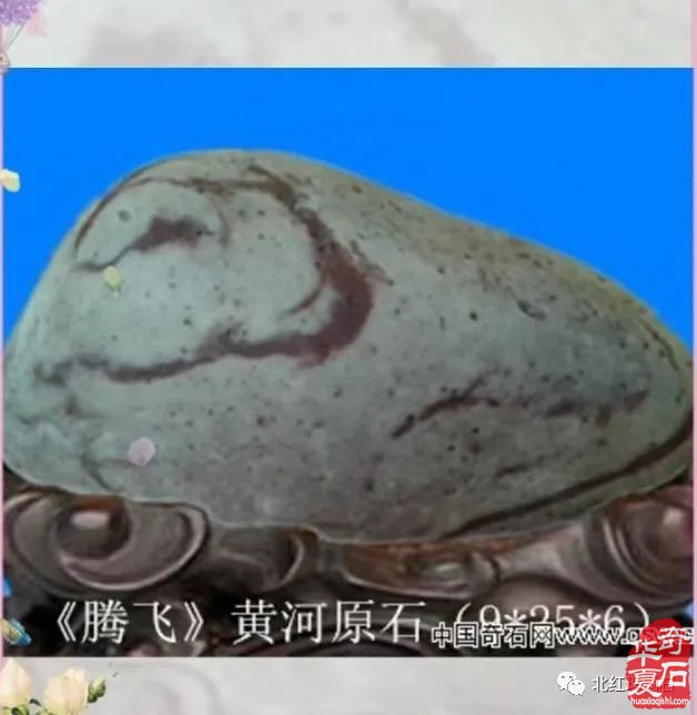 艳而不妖媚而不俗的河洛石——方轶志藏品欣赏