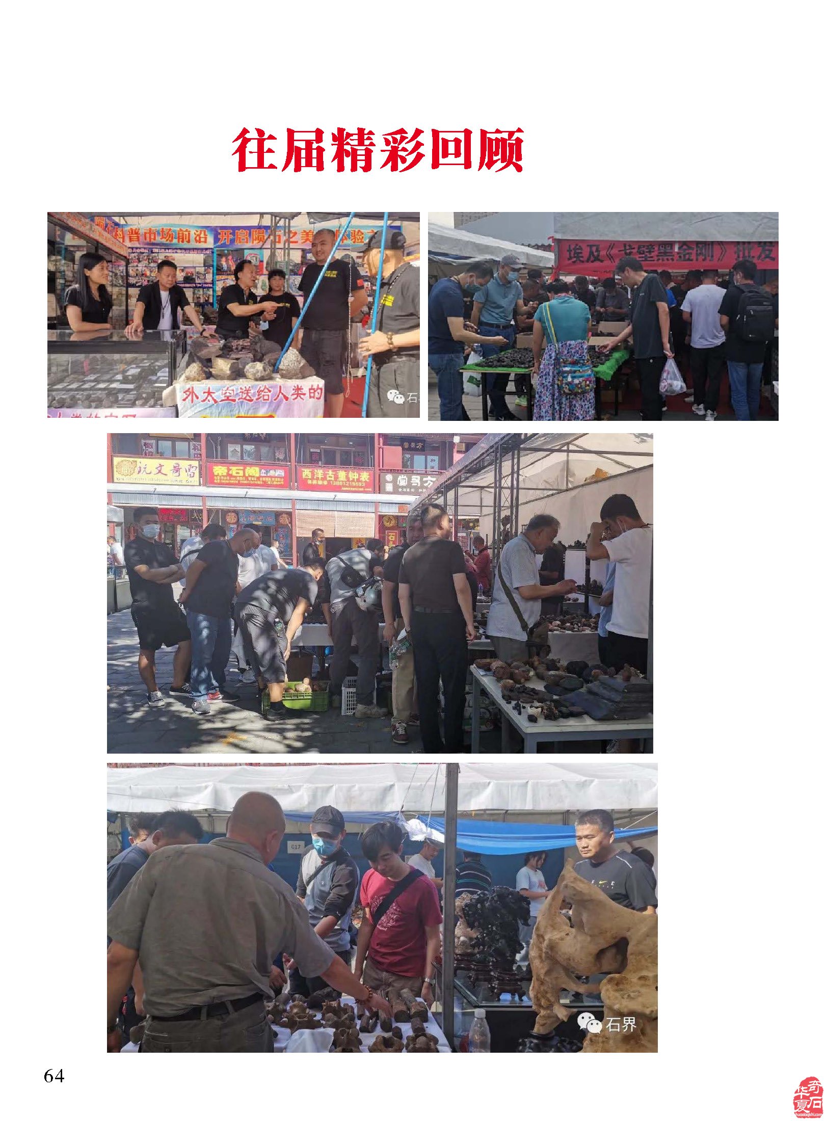 祝贺甘鹭生当选厦门市盆景雅石研究会会长