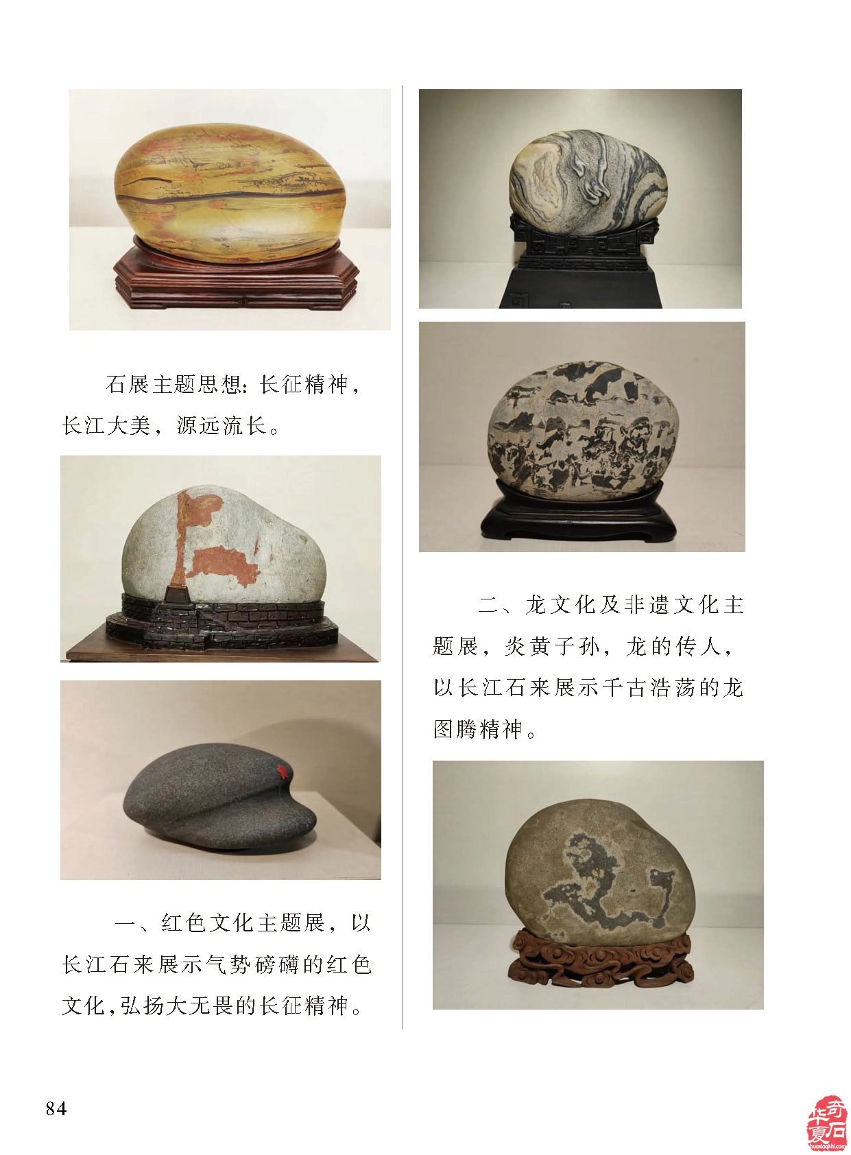 祝贺甘鹭生当选厦门市盆景雅石研究会会长