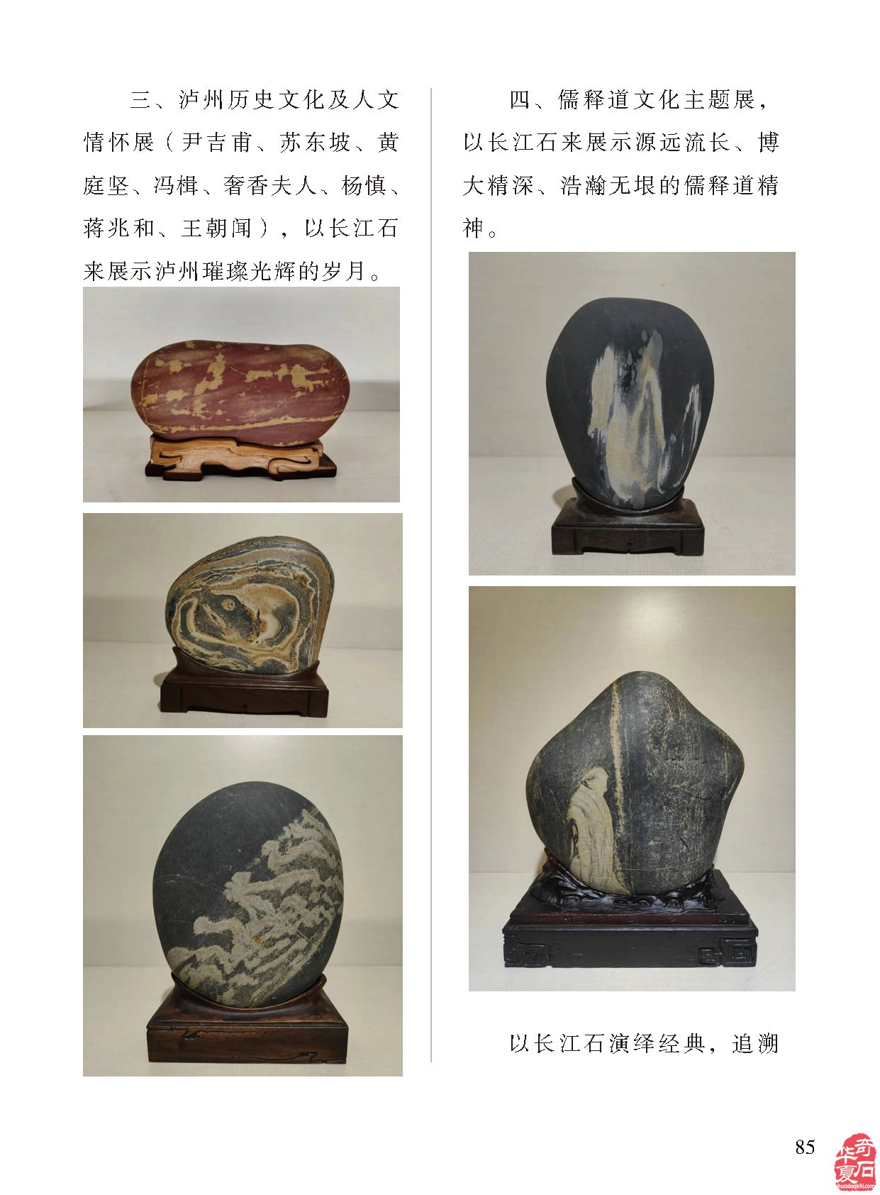 祝贺甘鹭生当选厦门市盆景雅石研究会会长