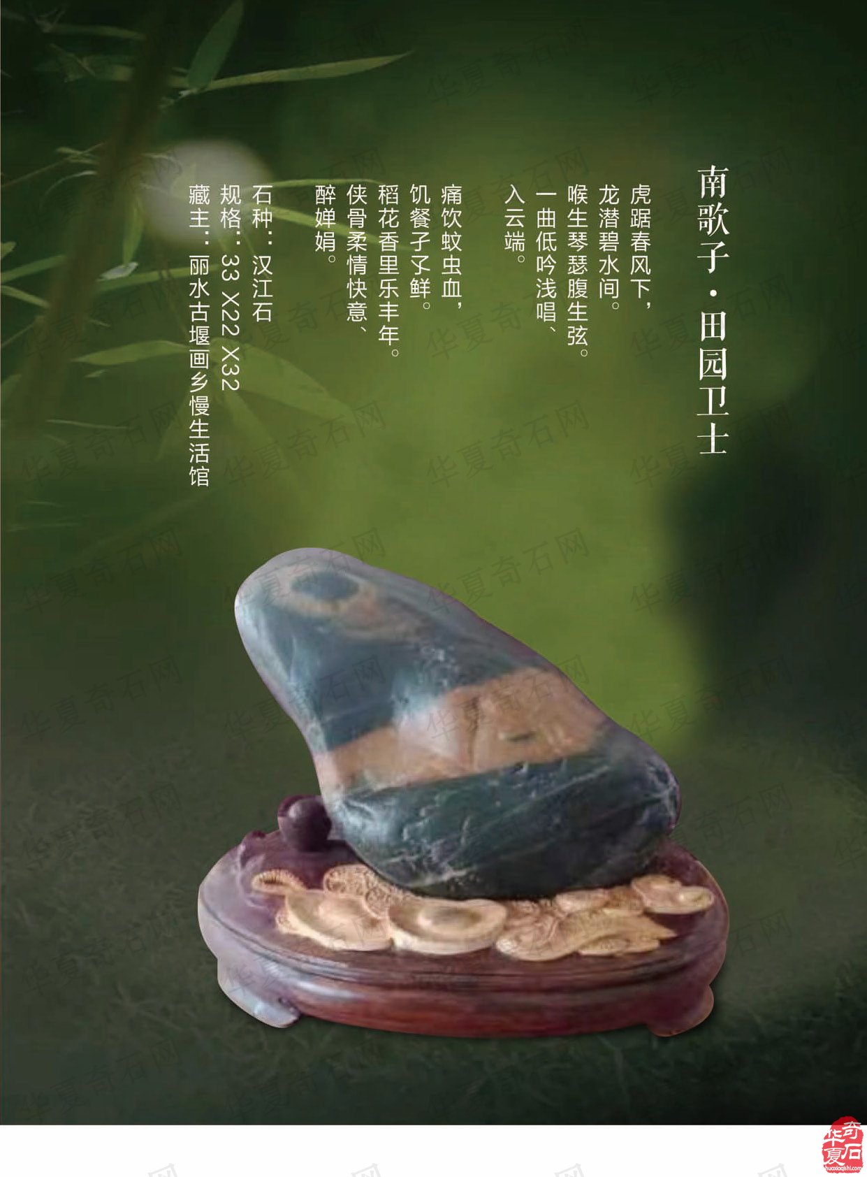 祝贺甘鹭生当选厦门市盆景雅石研究会会长