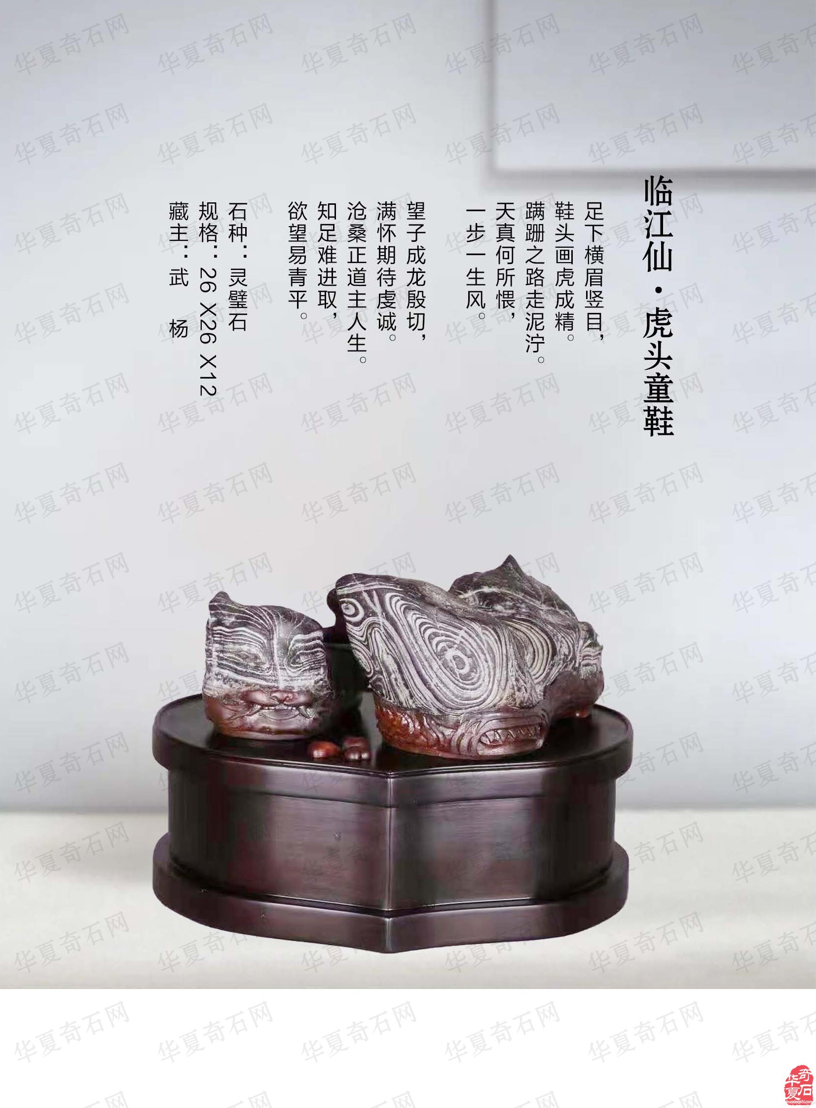 祝贺甘鹭生当选厦门市盆景雅石研究会会长