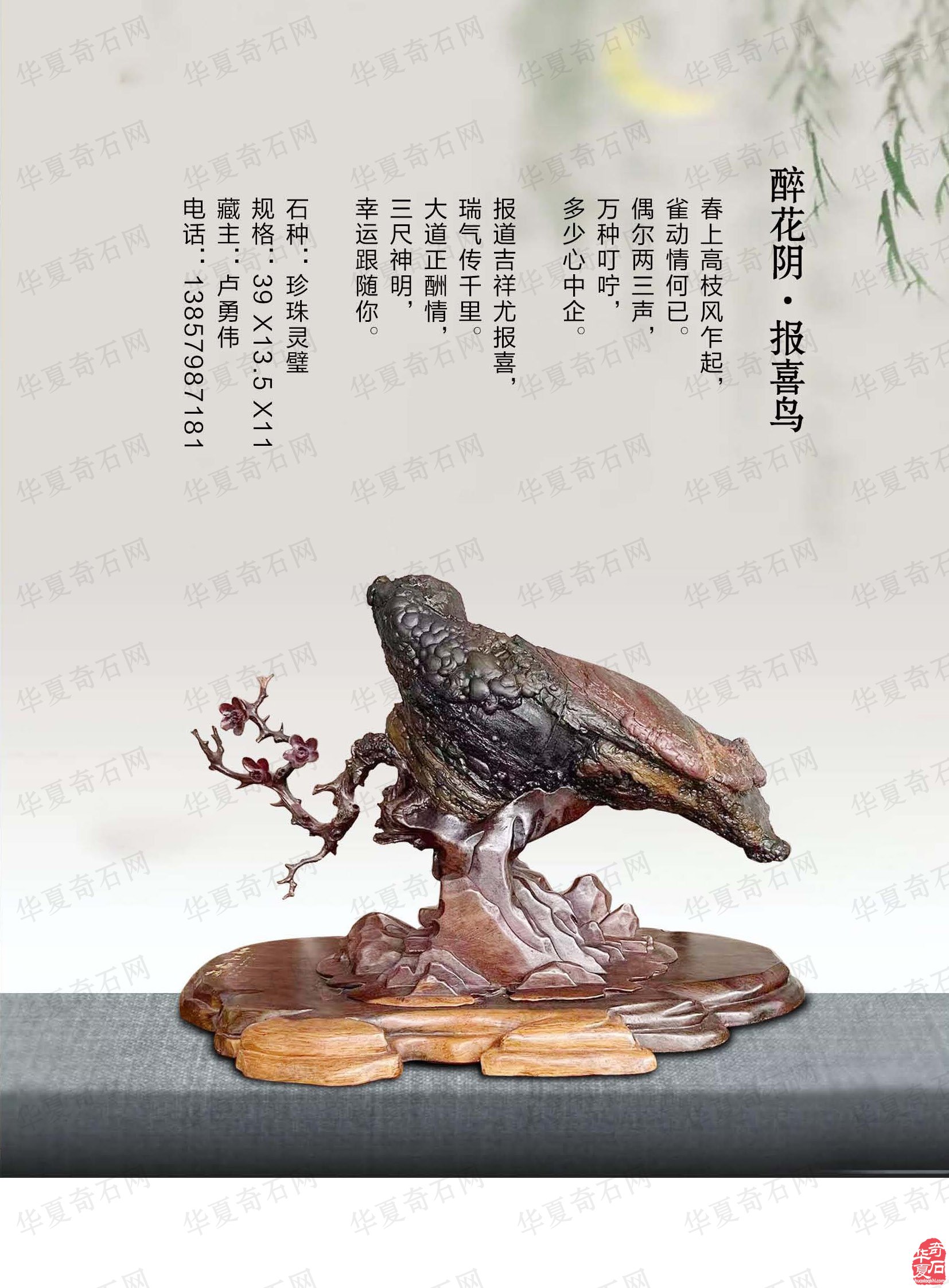祝贺甘鹭生当选厦门市盆景雅石研究会会长