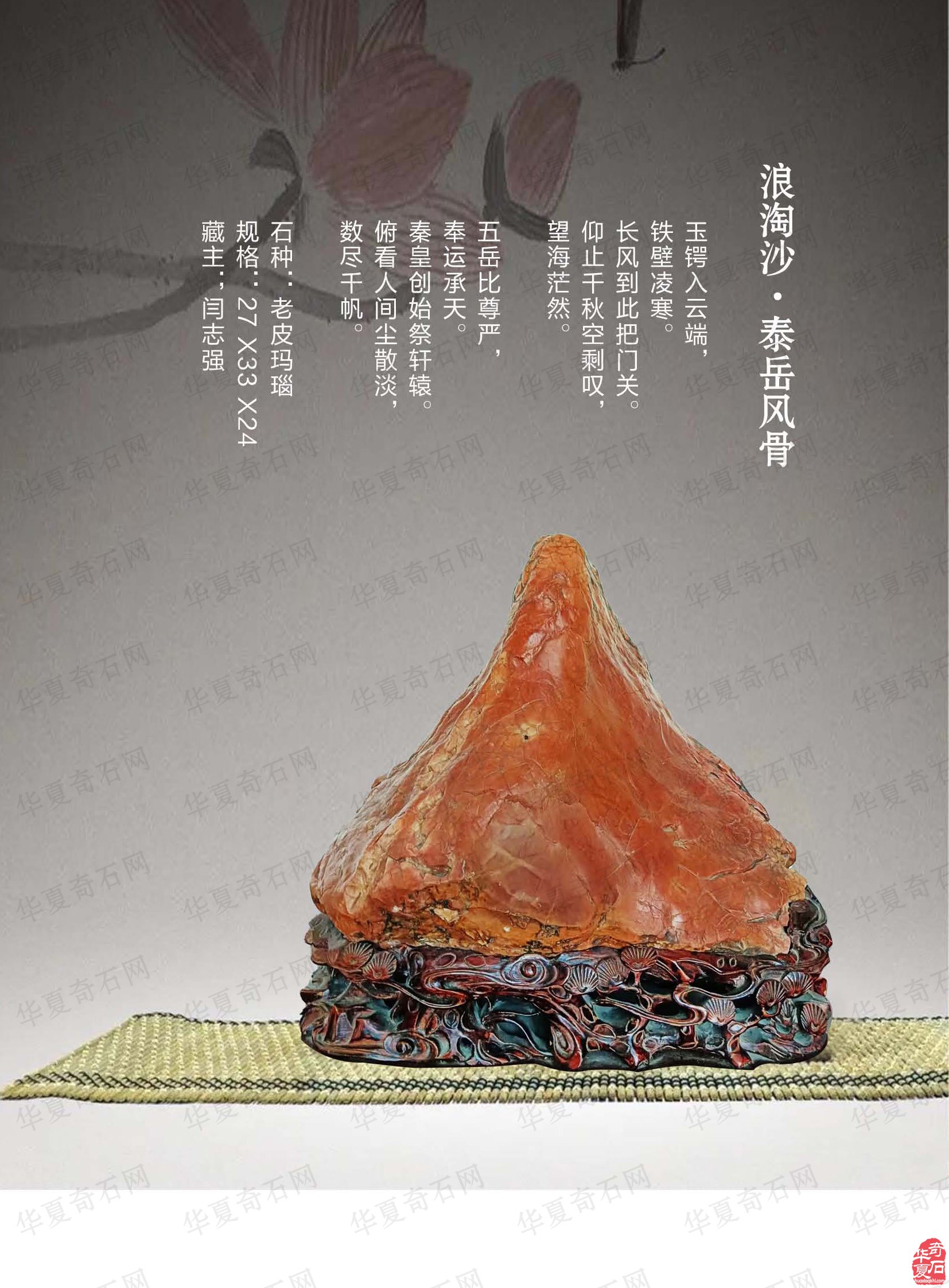 祝贺甘鹭生当选厦门市盆景雅石研究会会长