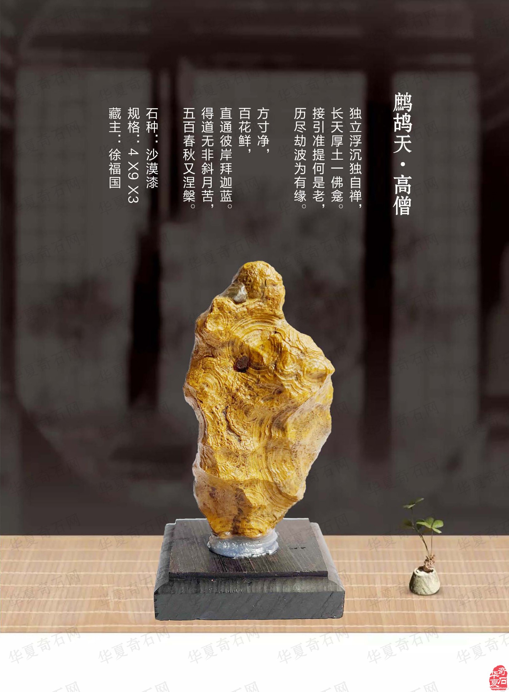 祝贺甘鹭生当选厦门市盆景雅石研究会会长
