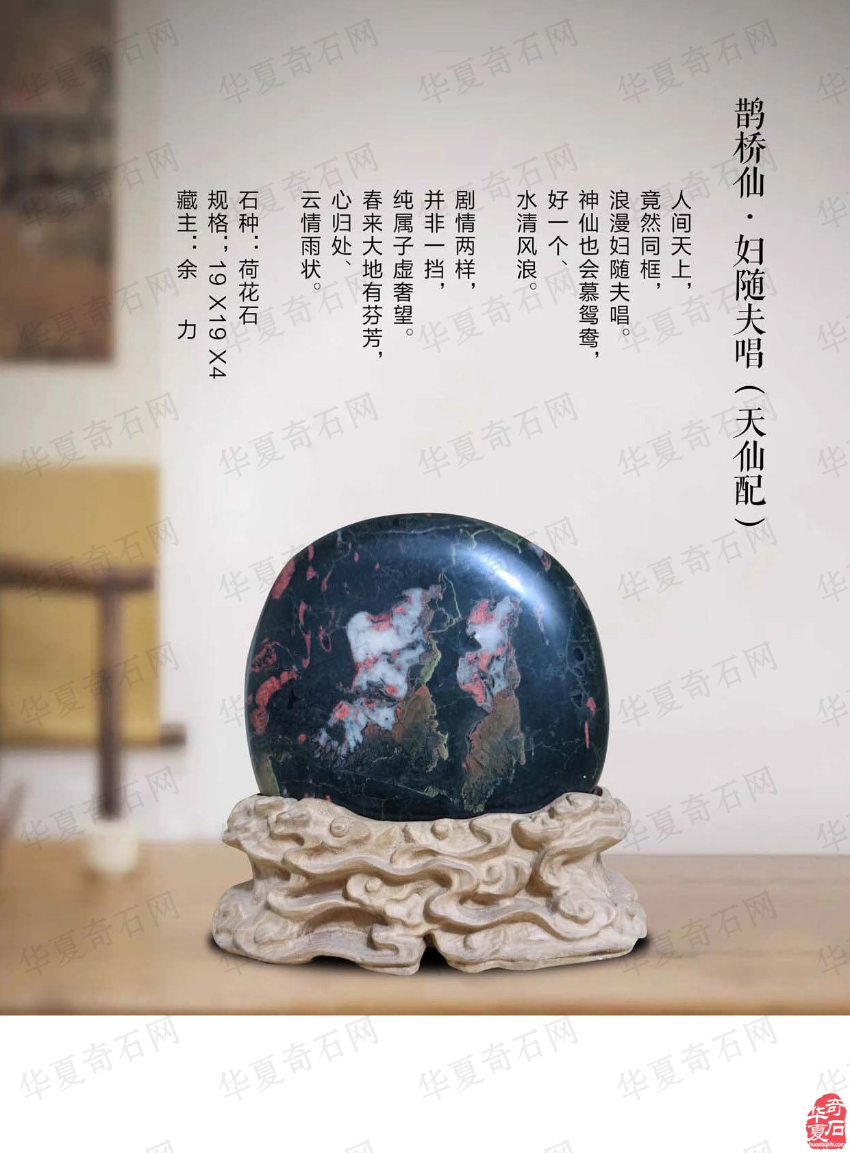 祝贺甘鹭生当选厦门市盆景雅石研究会会长