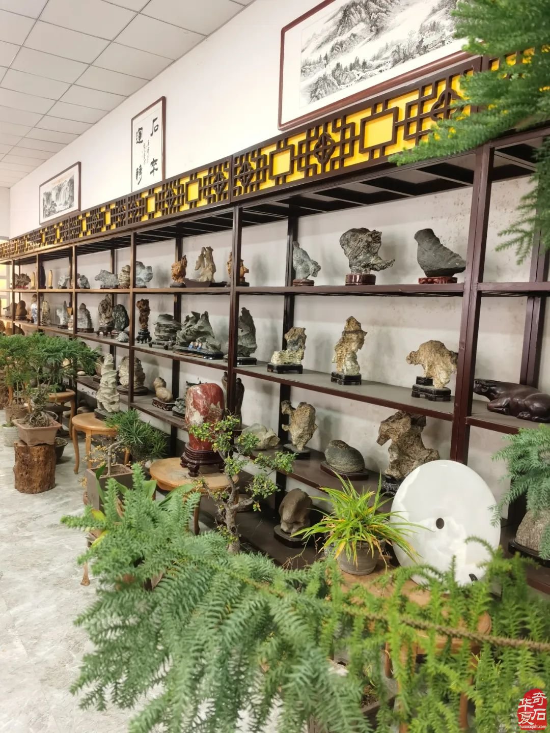 鹤壁市奇石协会举办主题为“鹤舞迎春春如意，龙腾贺岁岁吉祥”的2023年底工作年会