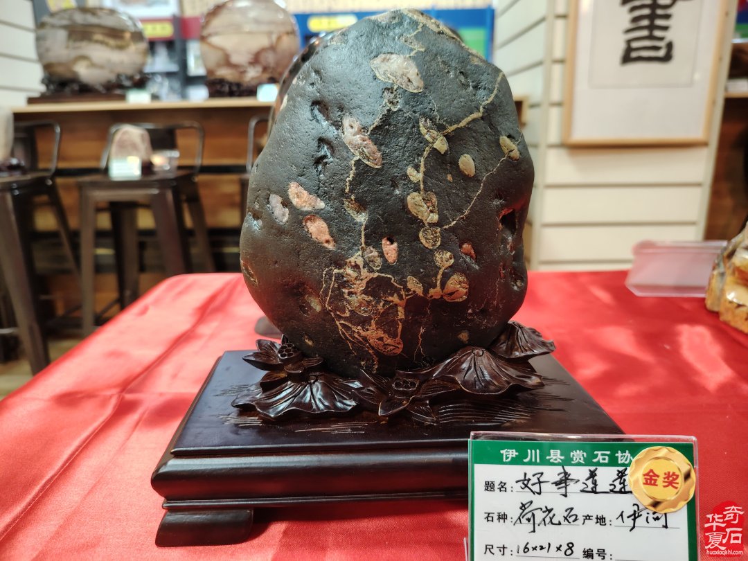 伊川县赏石首届赏石文化迎新展开幕