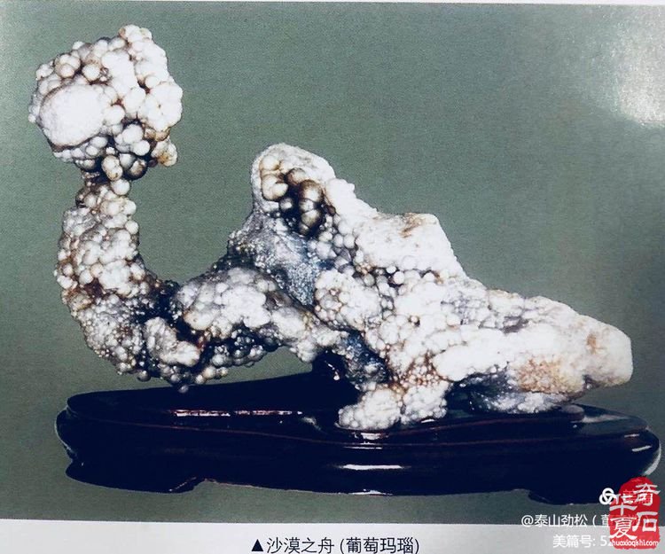 欣赏国内著名赏石名家的藏石作品（上）