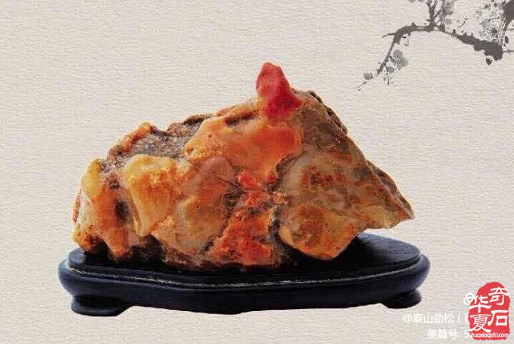欣赏国内著名赏石名家的藏石作品（上）