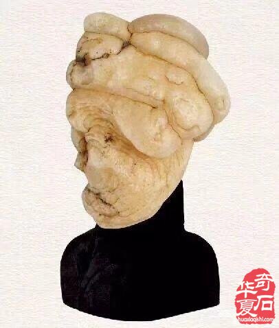 欣赏国内著名赏石名家的藏石作品（上）