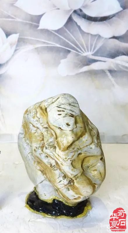 欣赏国内著名赏石名家的藏石作品（中）