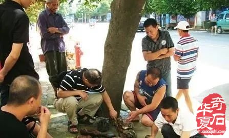 要想靠捡石玩出财富，必须学会丢石头！