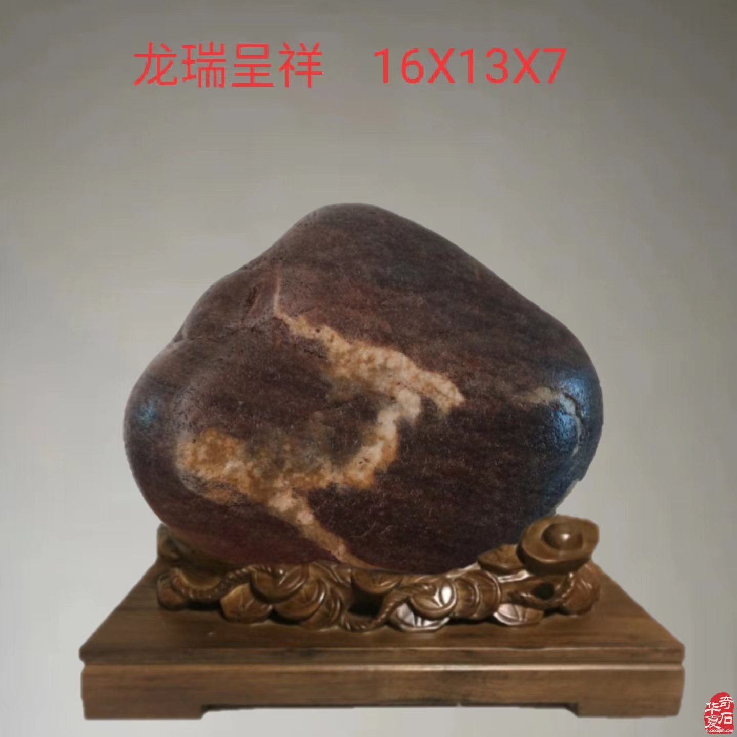 龙年说龙赏龙石 图