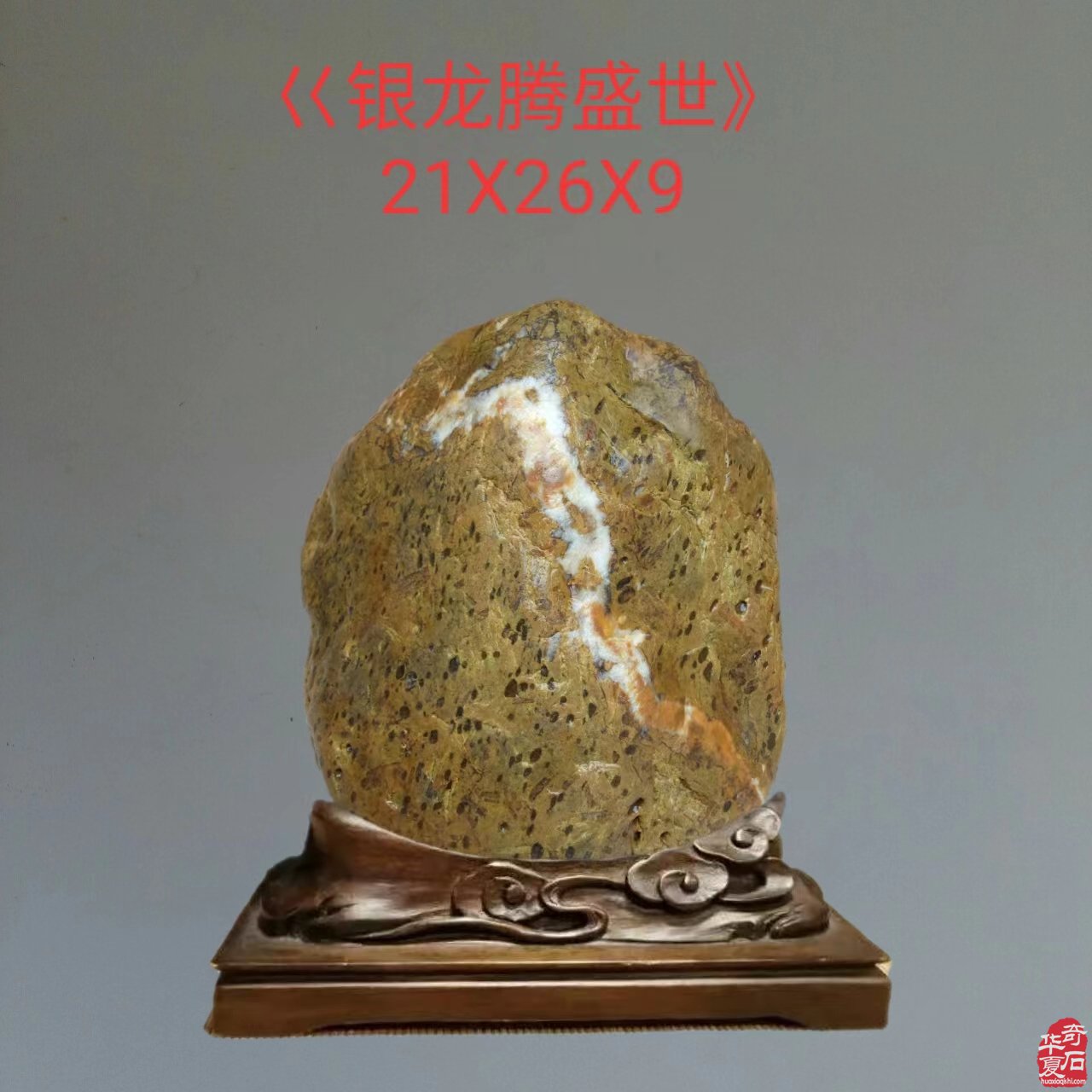 龙年说龙赏龙石 图