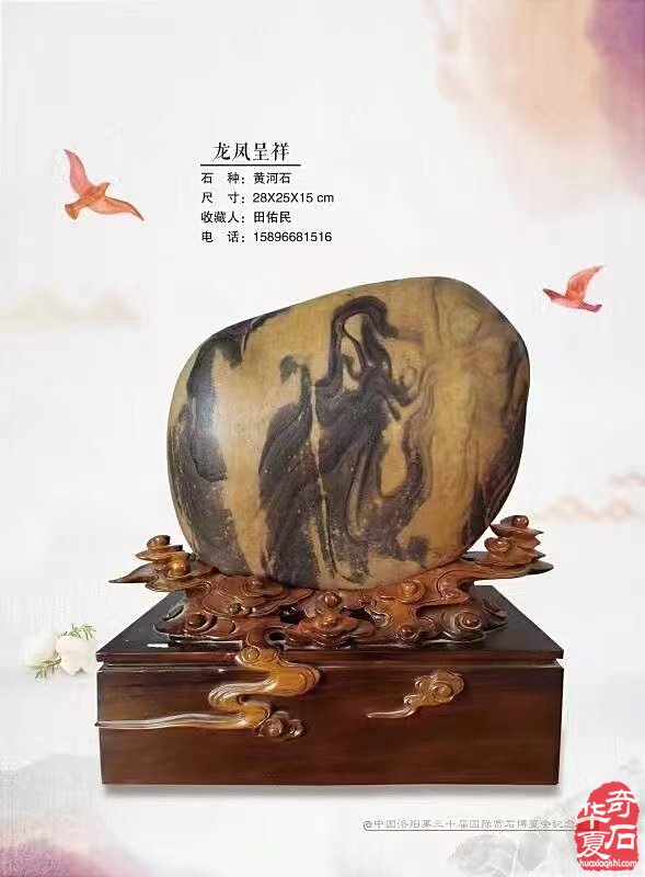龙年踏云来 龙石闹新春