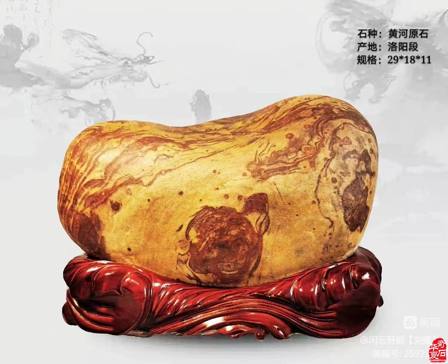 龙年踏云来 龙石闹新春