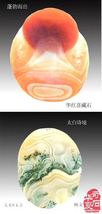 韵味无穷常读常新 再谈雨花石中意蕴美