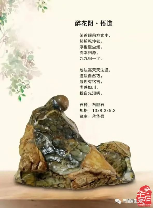 石友风采——蒋华强先生