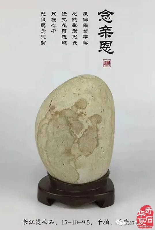 石友风采——蒋华强先生