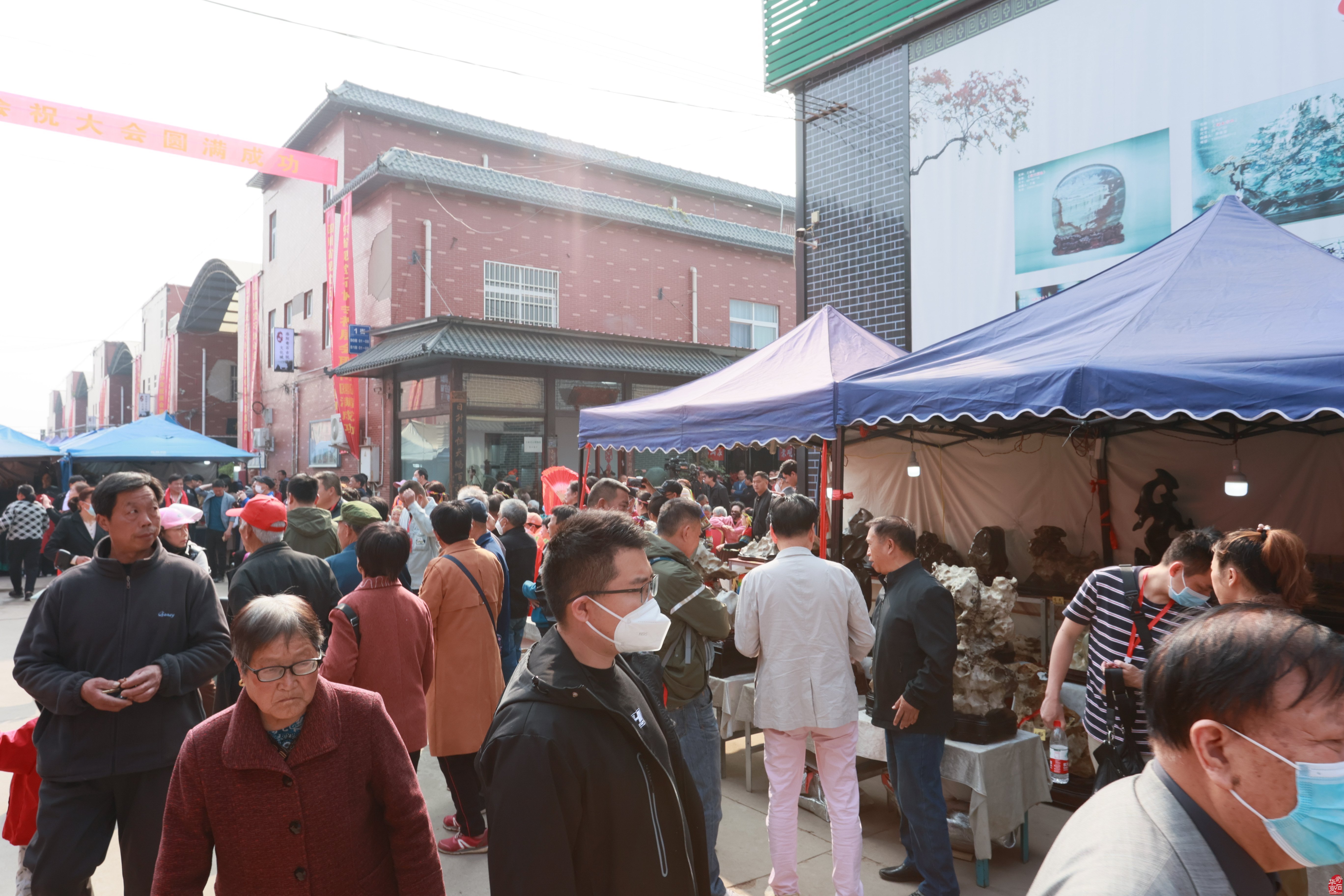 在赏石路上执着向前的洛阳市赏石协会