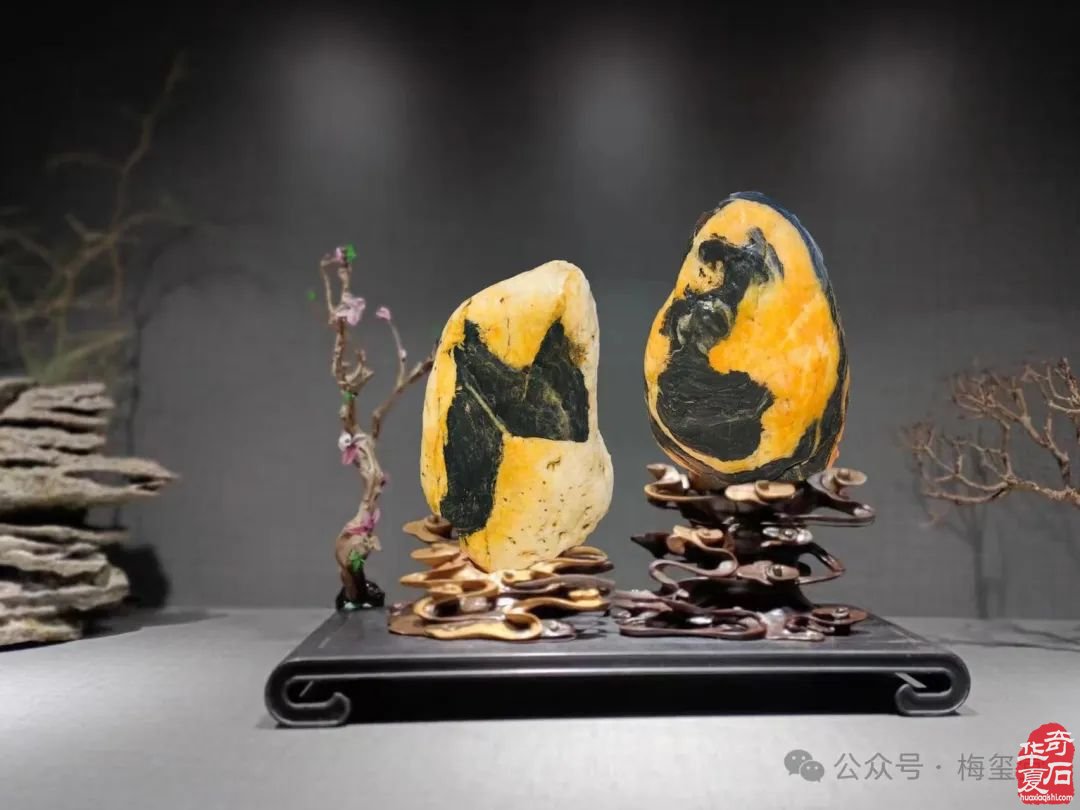 梅玺堂//全国奇石免费展示图（第120期）