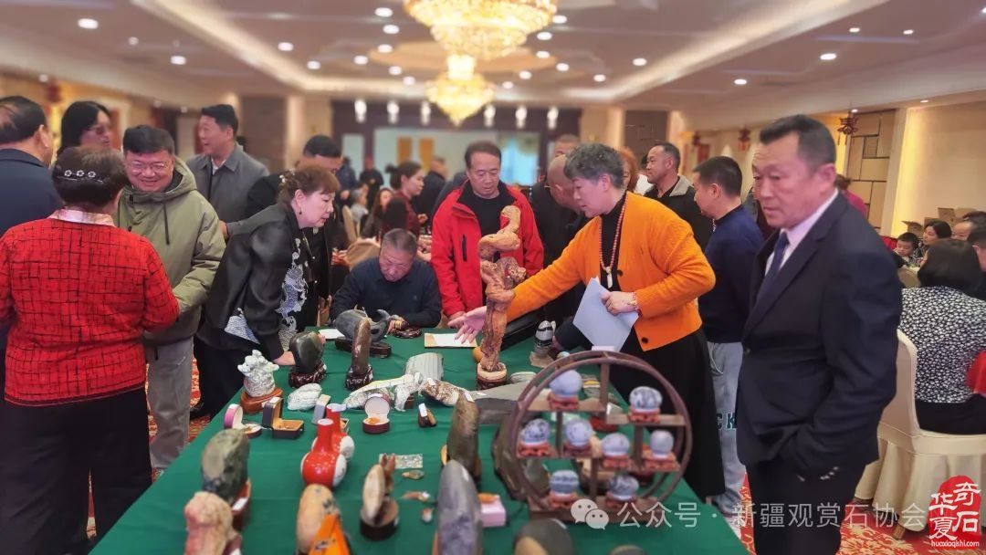 2024年“相约三八，奋进新征程；赏石圆梦，建功新时代。”——新疆观赏石协会三八妇女节活动纪实
