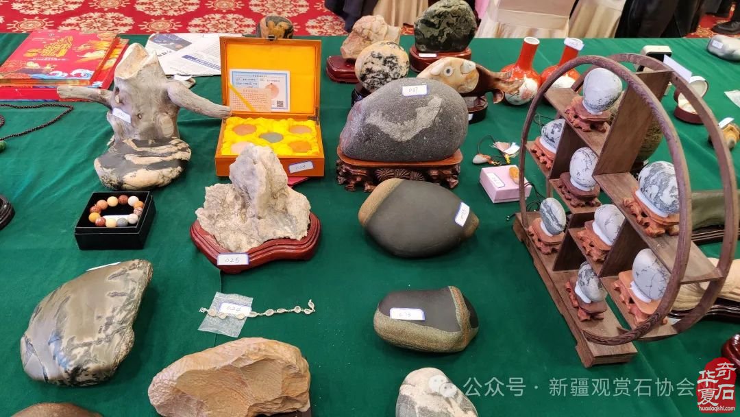 2024年“相约三八，奋进新征程；赏石圆梦，建功新时代。”——新疆观赏石协会三八妇女节活动纪实