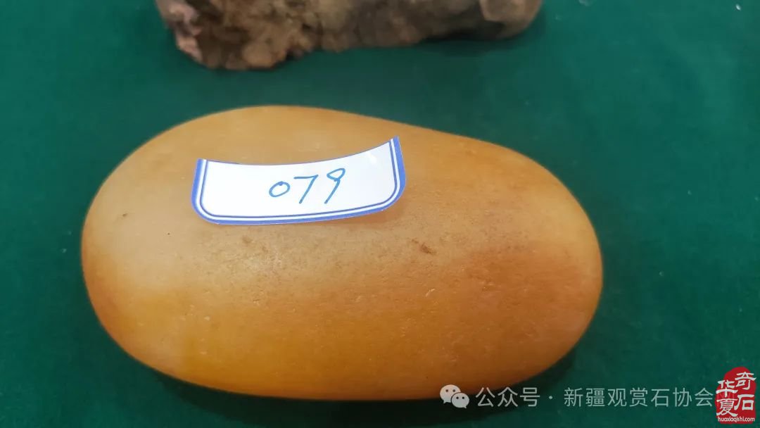 2024年“相约三八，奋进新征程；赏石圆梦，建功新时代。”——新疆观赏石协会三八妇女节活动纪实
