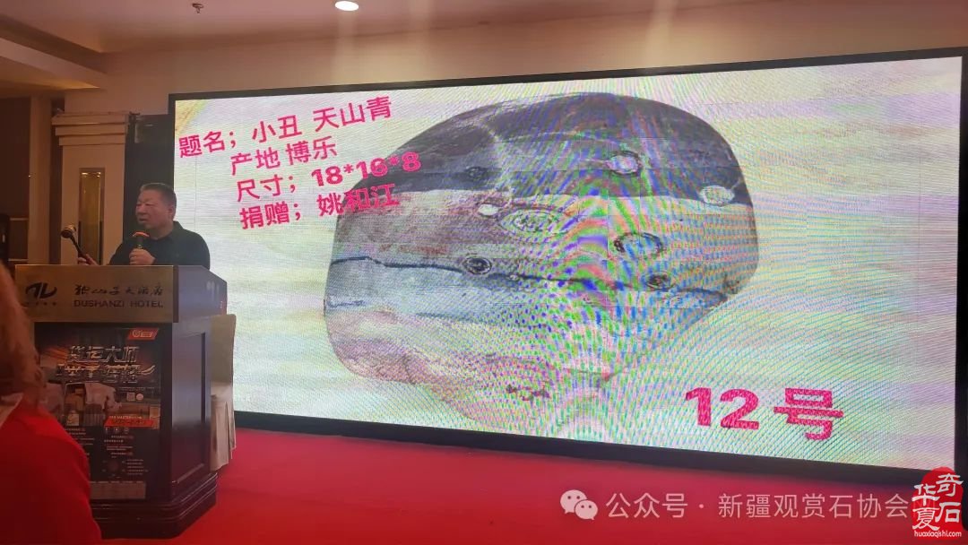 2024年“相约三八，奋进新征程；赏石圆梦，建功新时代。”——新疆观赏石协会三八妇女节活动纪实