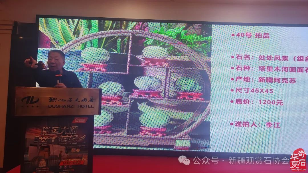 2024年“相约三八，奋进新征程；赏石圆梦，建功新时代。”——新疆观赏石协会三八妇女节活动纪实