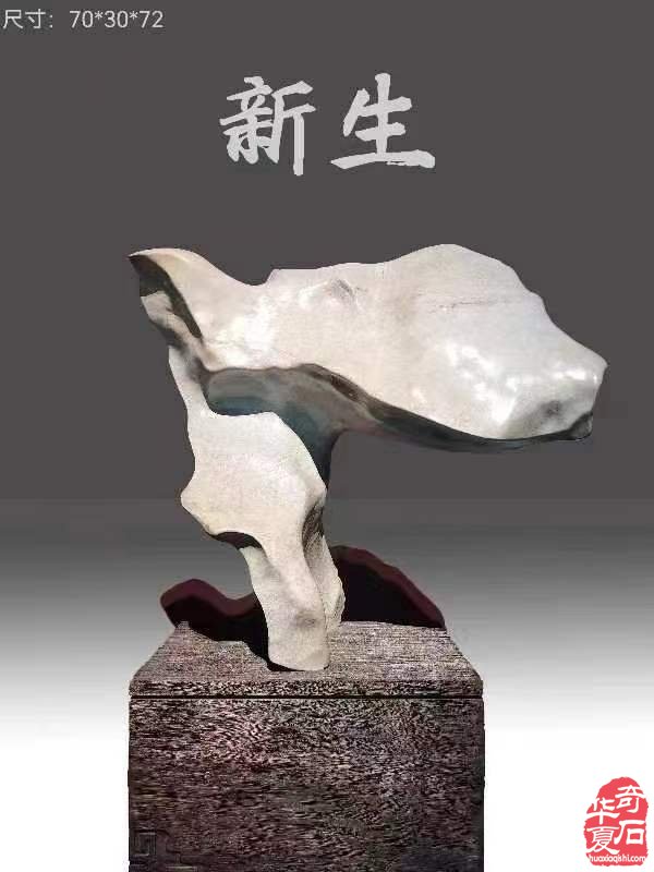 4月1日洛阳三十二届石展北丹石重装上阵