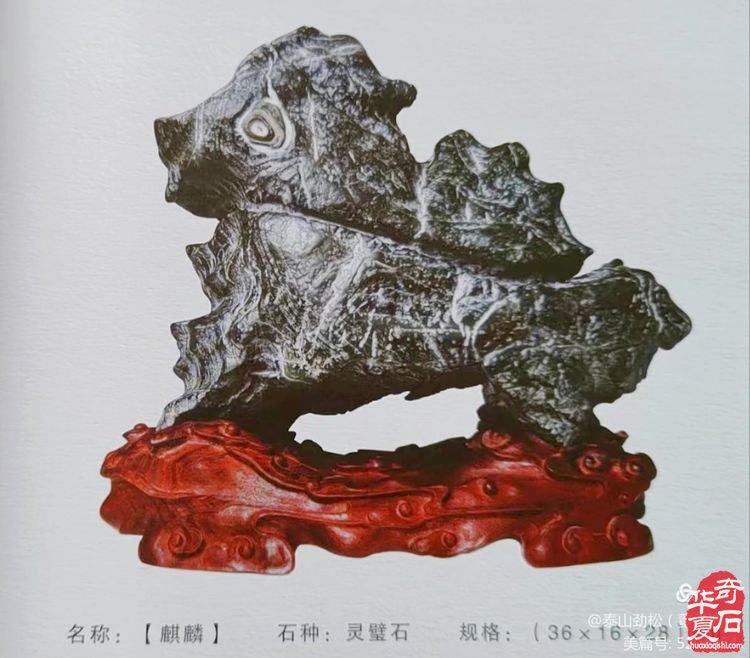 走啊！青岛赏石万里行4月1日洛阳石展打卡去