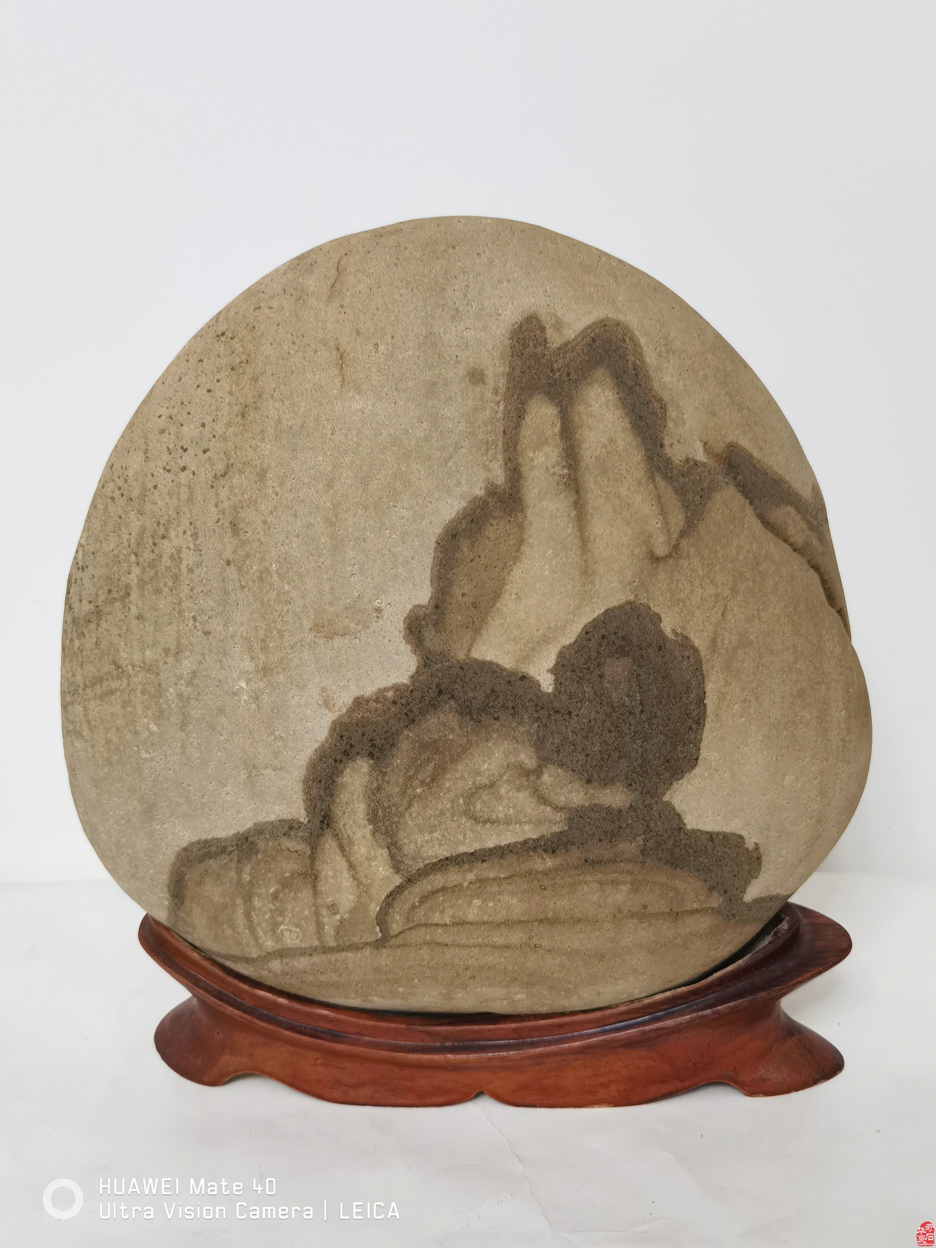 走啊!青岛赏石万里行4月1日洛阳石展打卡去