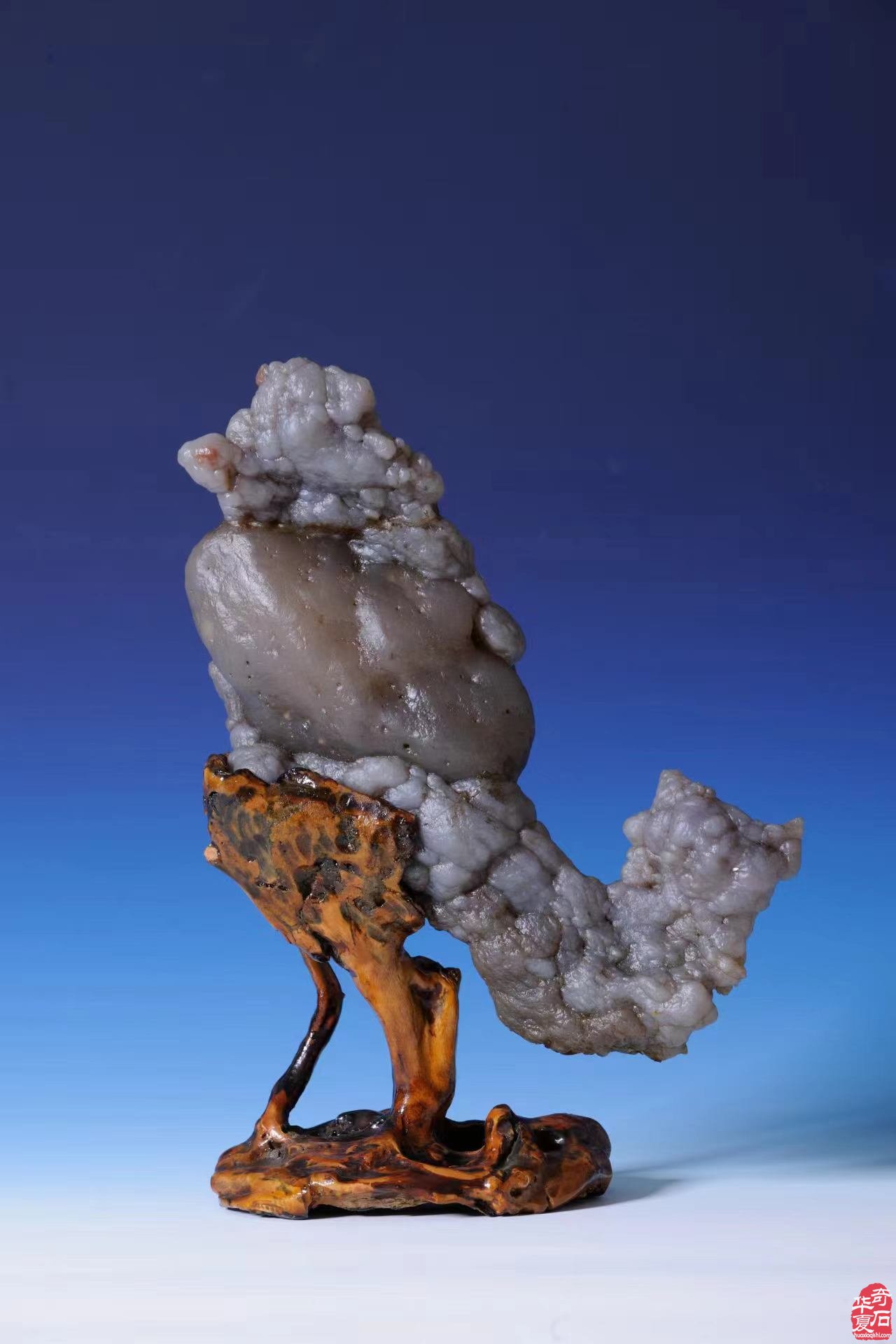 走啊!青岛赏石万里行4月1日洛阳石展打卡去