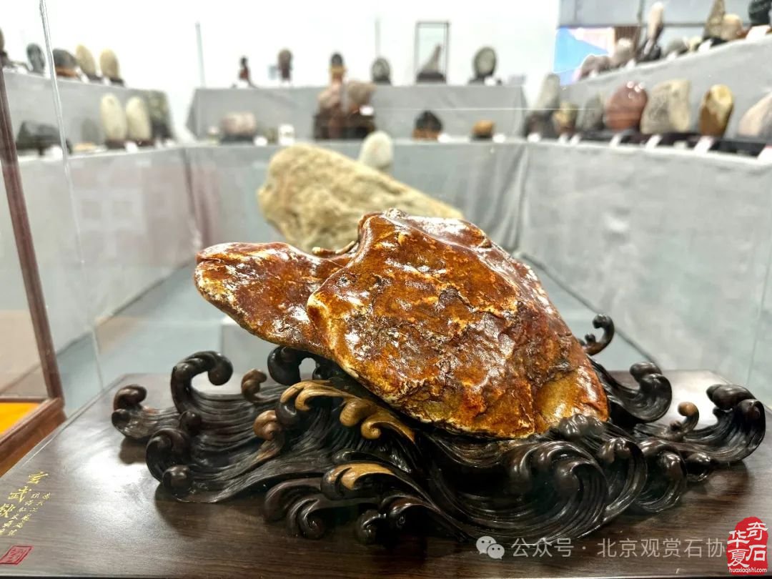 到洛阳奇石古玩文化城看大型石展赏精品美石