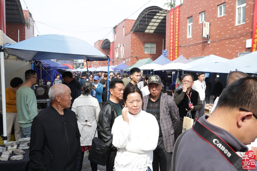 寒冬过去春天还远吗 洛阳石展喜讯频传