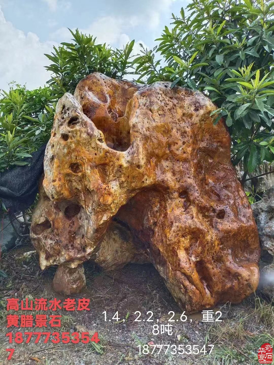 石界老顽童刘春浩老先生藏品欣赏