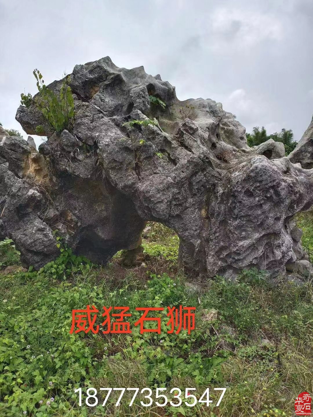 石界老顽童刘春浩老先生藏品欣赏