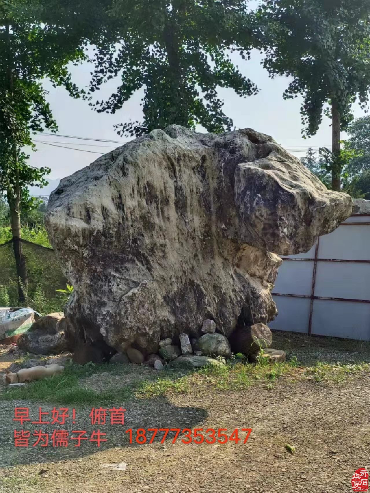 石界老顽童刘春浩老先生藏品欣赏