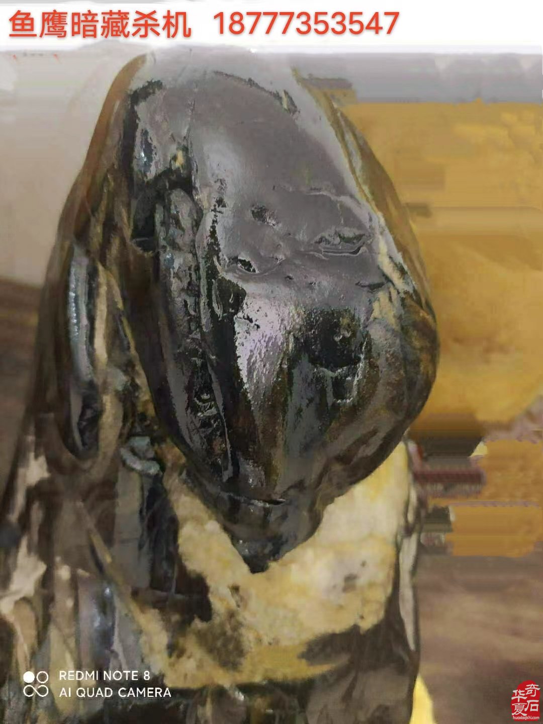 石界老顽童刘春浩老先生藏品欣赏