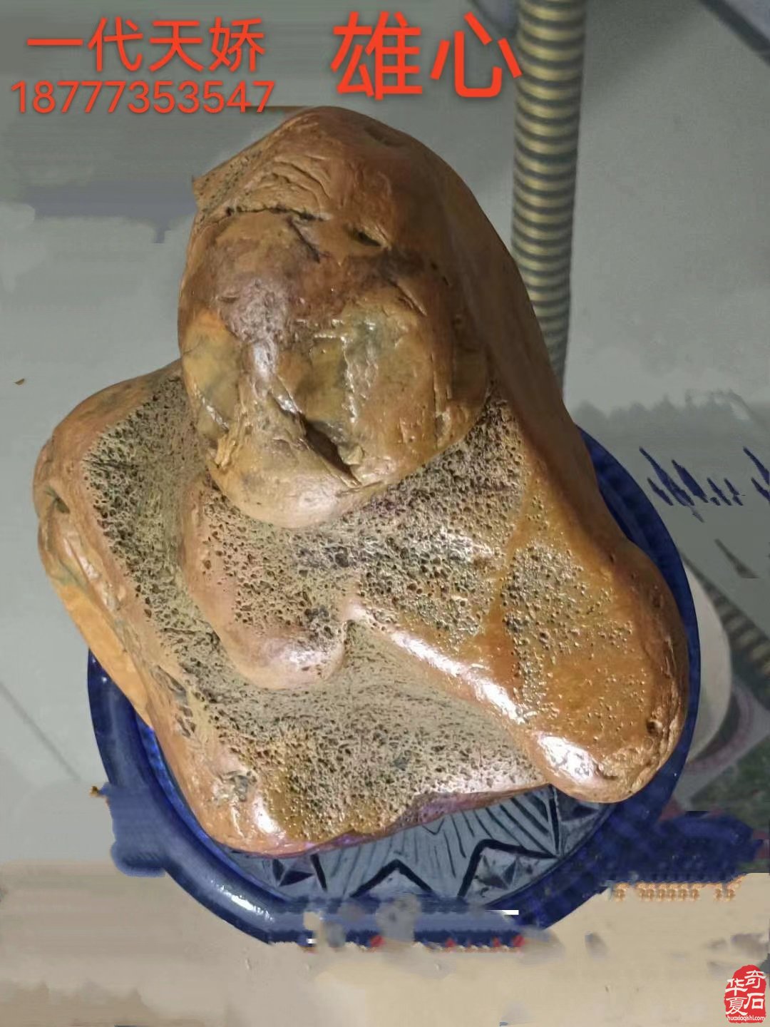 石界老顽童刘春浩老先生藏品欣赏